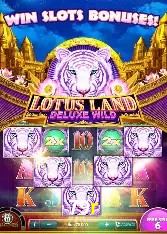 Casino Ao Vivo 79r